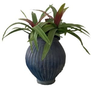 Vaso Azul C/Asa